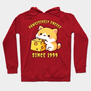 Positively cheesy since 1999 Hoodie